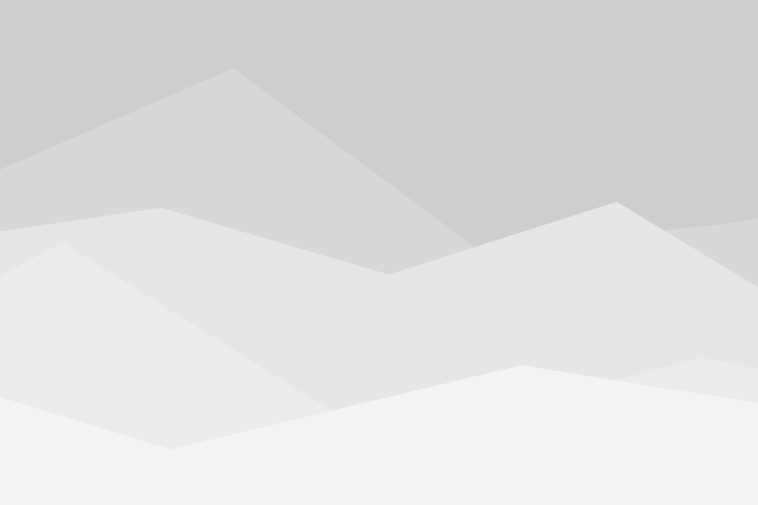 Why amet lorem dolor glavrida agestas